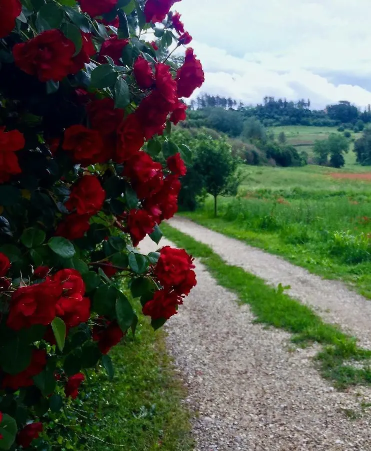 Bio-Agriturismo Carpareto San Miniato
