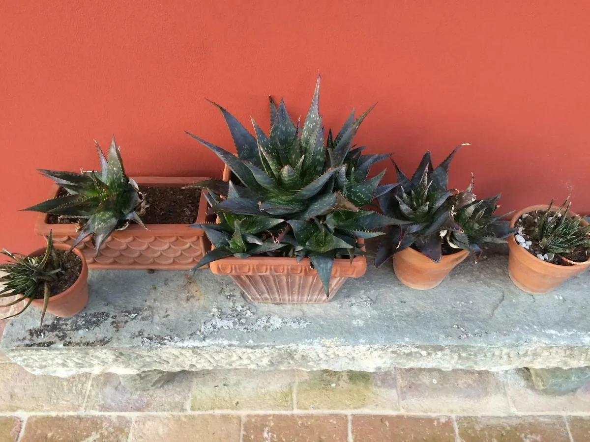 Bio-Agriturismo Carpareto San Miniato Italy