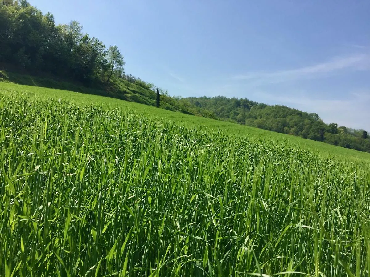 Bio-Agriturismo Carpareto San Miniato