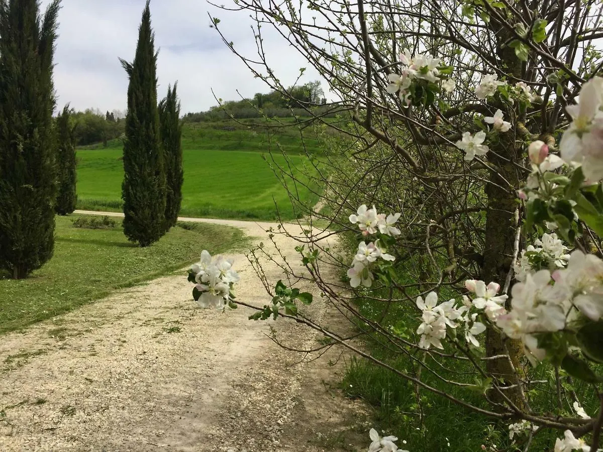 Daire Bio-Agriturismo Carpareto San Miniato İtalya