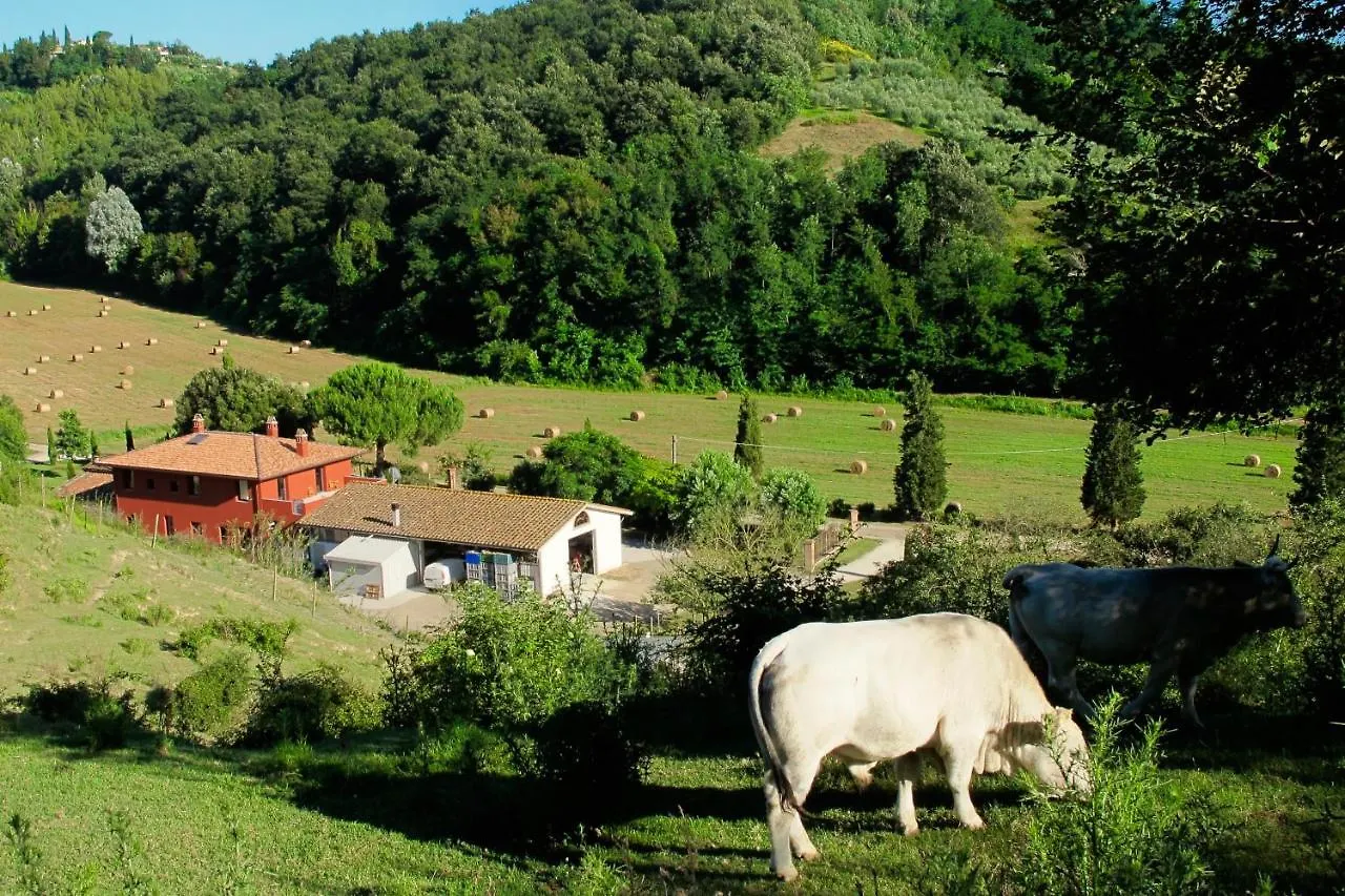 Daire Bio-Agriturismo Carpareto San Miniato İtalya
